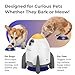 Interactive Dog Puzzle Feeder Toy, Automatic Dogs Treat Dispenser for IQ Training & Slow Feeder, Dog Food Dispenser with Remote Button, Suitable for Indoor or Outdoor Play, All Breeds, OtterVerz 11