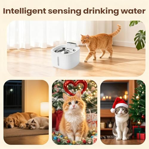 Fontaine à eau pour animaux réduit les odeurs pour chat et chien