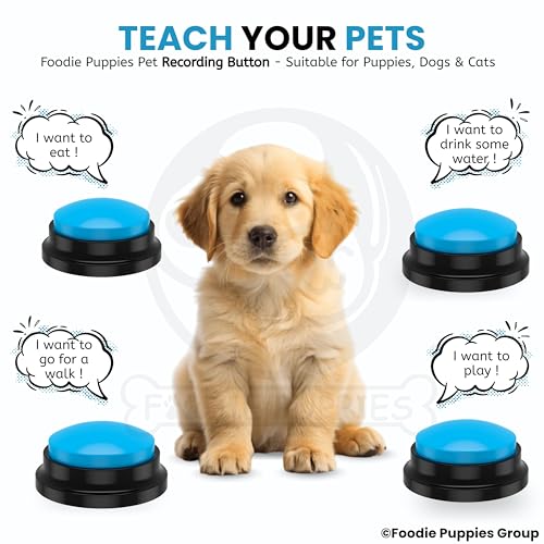 Image of Foodie Puppies Interactive Dog Toys, Pet Voice Recording Button Training Talking Button /Buzzer Toy for Communication - (Blue) Easy to Use Talking, 30Sec Record & Playback, [Without Battery]