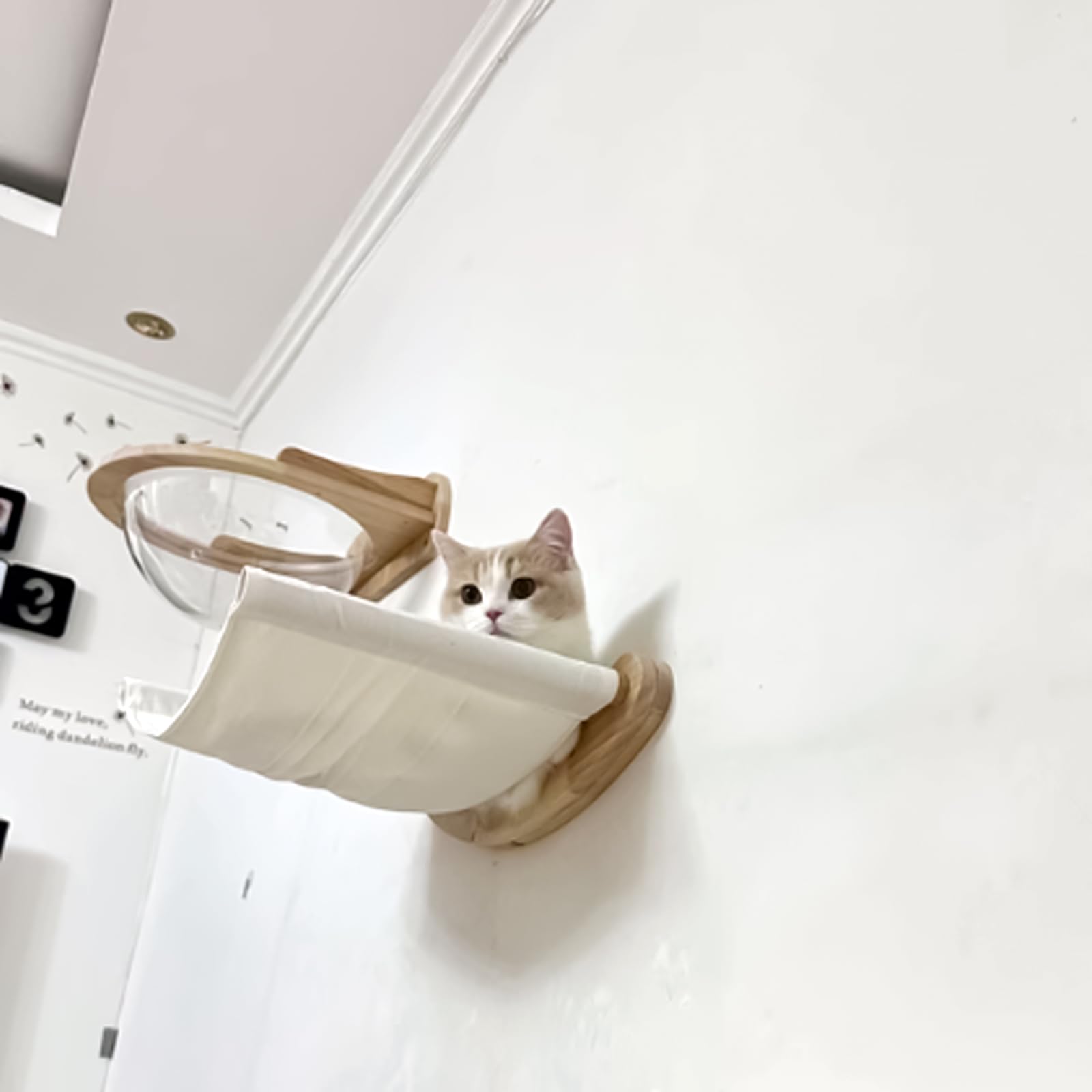 Amaca per gatti, scaffale da parete, per animali domestici Comfy letto da parete mobili da parete per arrampicata e sdraiarsi