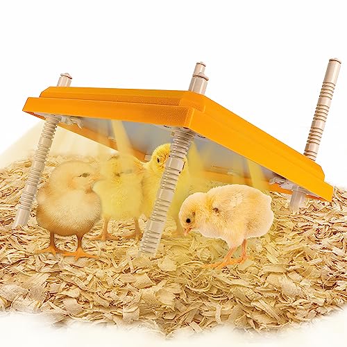 Top 10 Large Chicken Brooders The Ultimate Buying Guide for Poultry