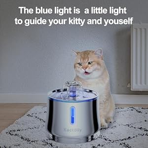 Water Level Window Cat Water Fountain Stainless Steel, 2.5L/84oz Automatic Pet Water Fountain Ultra-Quiet Pump and 2 Filters, Cat Fountain for Drinking, BPA-Free