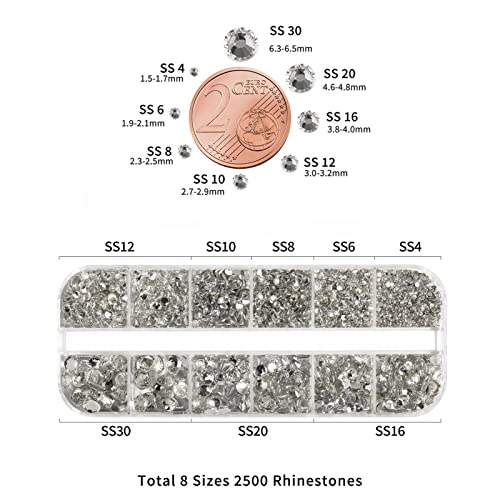 Beadsland 2500 szt. przezroczystych kryształków, płaskie klejnoty, okrągłe, do majsterkowania, do paznokci, 8 rozmiarów SS4–SS30, z pęsetą i aplikatorem (przezroczyste)