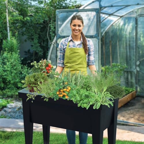 Hochbeet aus Kunststoff für den Garten von Pflanzen Kölle