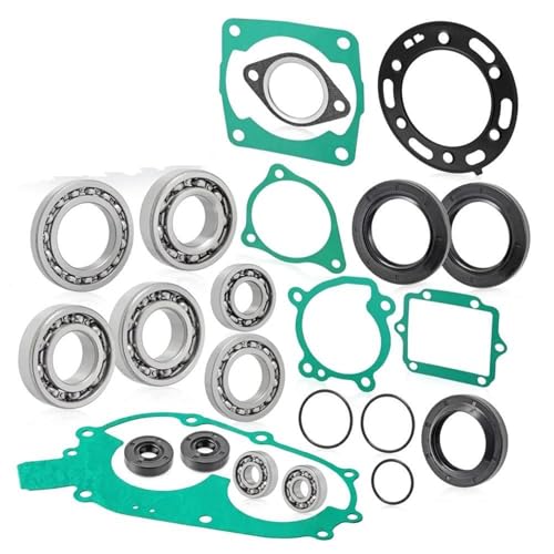Kit joints carter et culasse complet avec roulements pour Polaris Sportsman 400