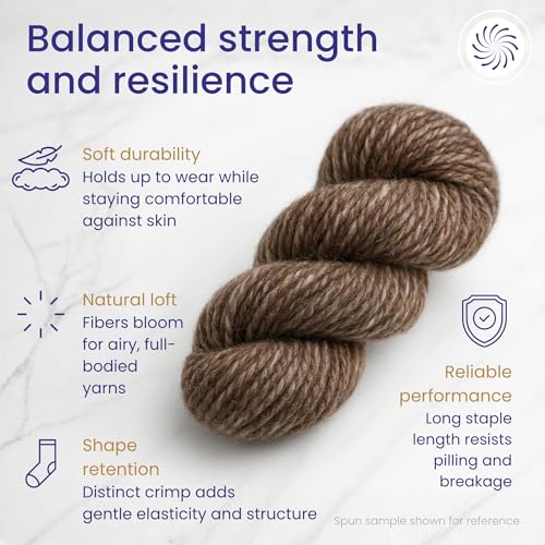 Image of Revolution Fibers Yin Yang Natural Blend of Corriedale Wool Roving (8 Ounces) | Perfect for Felting, Hand Spinning & Tapestry |100% Natural Undyed Off-White & Brown Blend