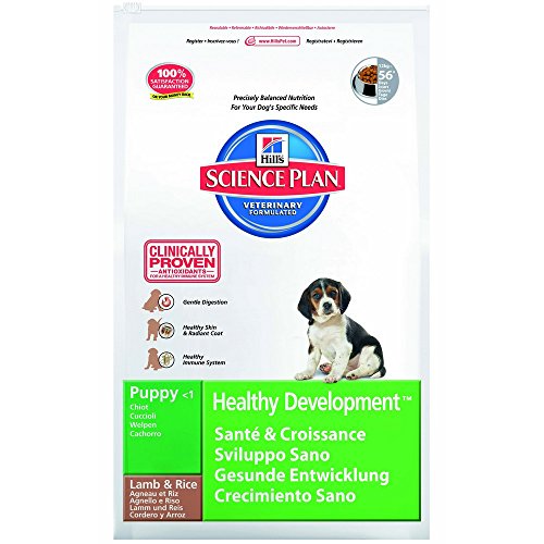 Hills Canine Puppy Healthy Development Lamm & Reis 12kg, 1er Pack (1 x 12 kg Packung)