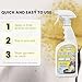 Grandma's Secret Spot Remover Laundry Spray - Chlorine, Bleach and Toxin-Free Fabric Stain Remover for Clothes - Removes Oil, Paint, Blood and Pet Stains - 16 Oz, 2 Pack