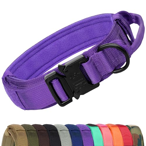 Joytale Collare Tattico per Cani di Grossa Taglia, in Nylon Regolabile Con Fibbia in Metallo, Viola, L