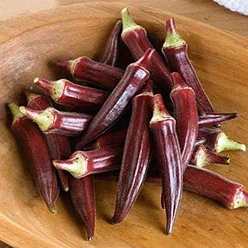Miniatura 2 de Seeds4planting - Semillas Alabama Red Okra (Bamia, Lady Finger) Vegetales tradicionales sin OMG