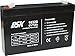 DSK 10320 - Batteria al piombo AGM ricaricabile sigillata 6V 7Ah. Ideale per auto e moto elettriche per bambini, scooter, sistemi UPS, sistemi di sicurezza.