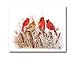 Red Birds Cardinals In Grass Animal Wildlife Wall Picture Art Print