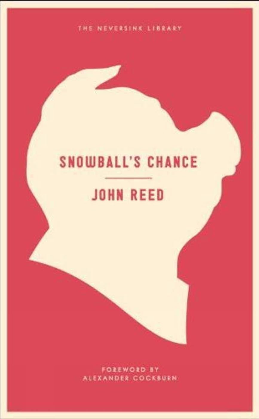 Buy Snowball's Chance (Neversink) — BookShops.in