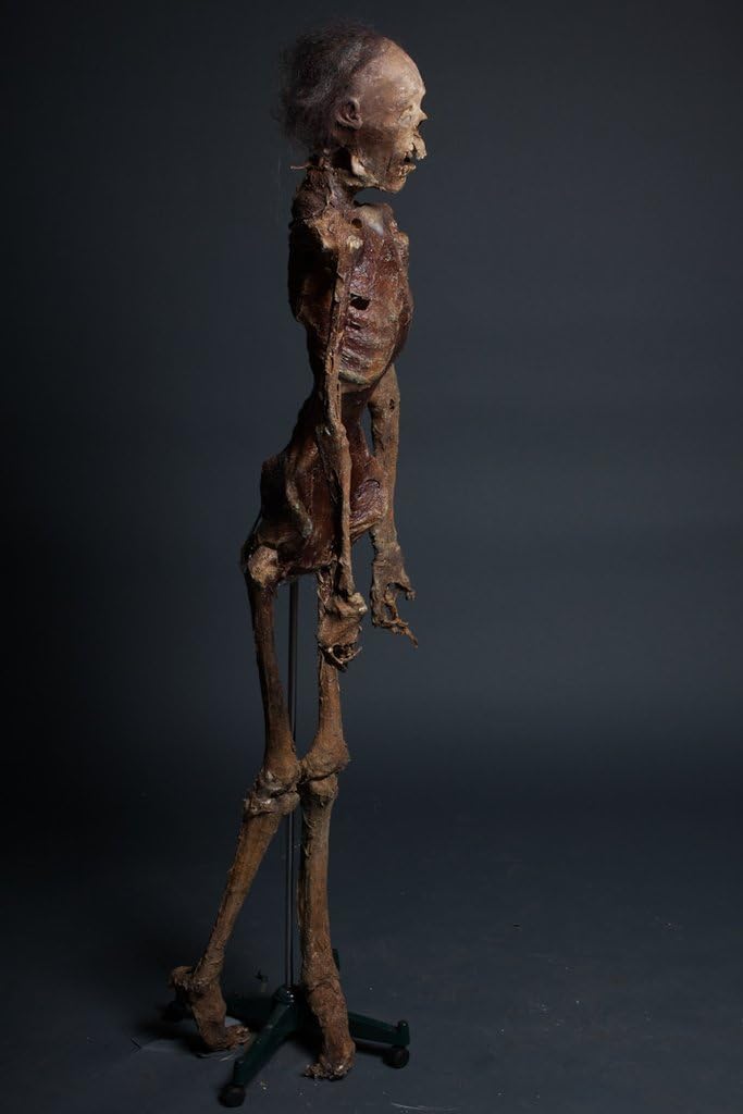 BACK FROM THE GRAVE Remy Mummy The Walking Dead Zombie | Halloween Prop - Haunted House