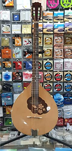 Irish Bouzouki #TOP2