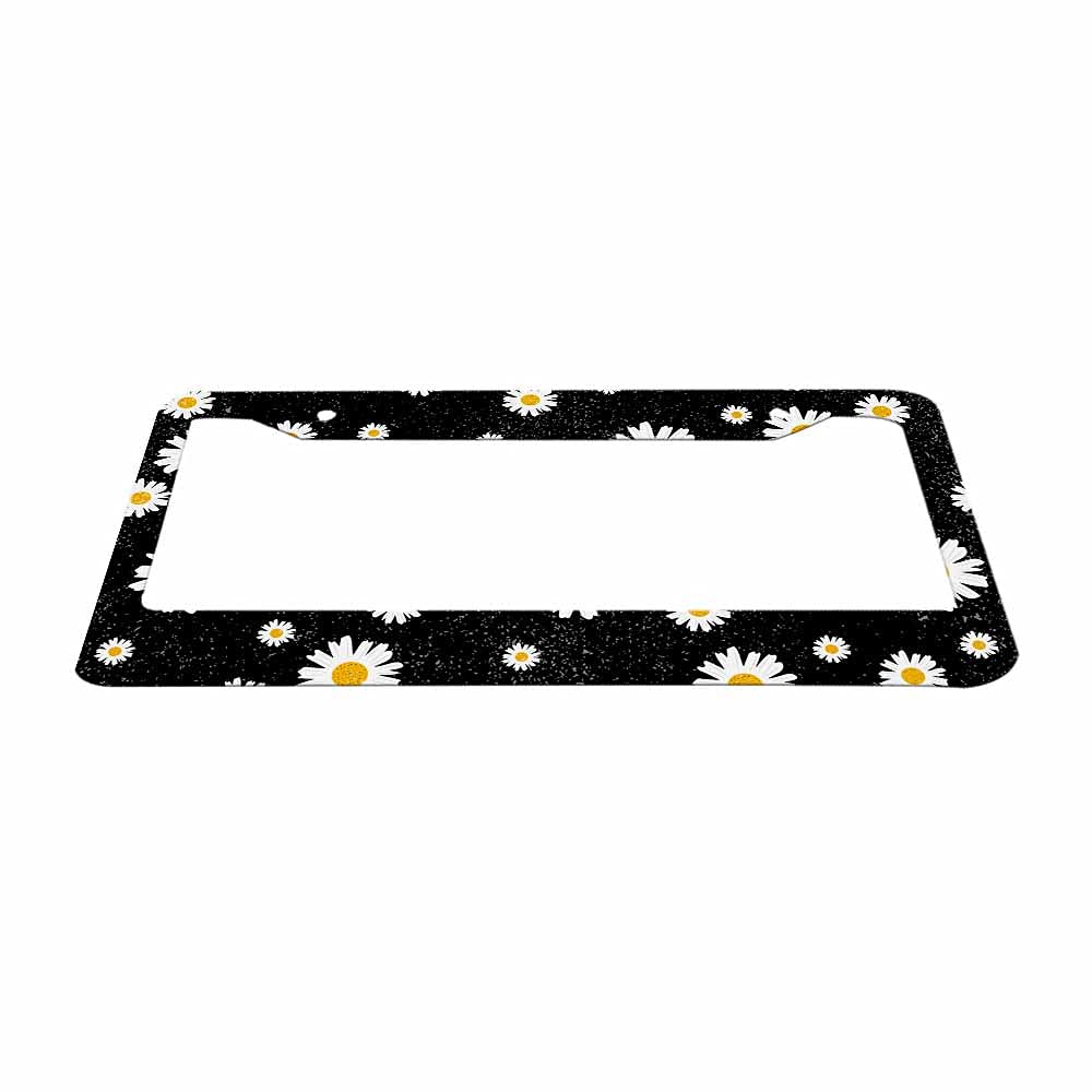 Nicokee Decorative License Plate Frame Black Celtic Viking Car Tag Frame Aluminum Auto License Plate Holder for Men Women: Multi-0003 12 x 6 Inch