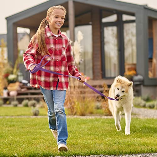 Viper K9 Biothane Working Dog Leash Waterproof Lead For Tracking Training Schutzhund Dog Sport & Search - Odor-Proof Long Line With Solid Brass Snap For Puppy Medium Large 1/2" X 33Ft Amethyst Purple #TOP4