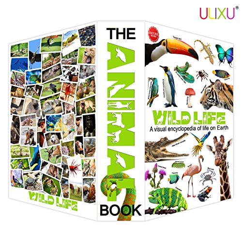 Wild Life Real Pages Diversion Book Safe With Combination Lock,Hidden Safe Secret Storage, Small Safe Lock Box For Cash Jewelry #TOP3