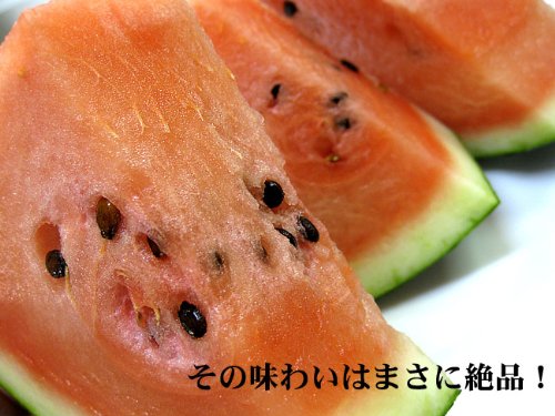 Amazon.co.jp: 北のマドンナすいか (秀品 大玉 3L 8kg) 北海道富良野