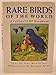 Rare Birds of the World: A Collins/Icbp Handbook