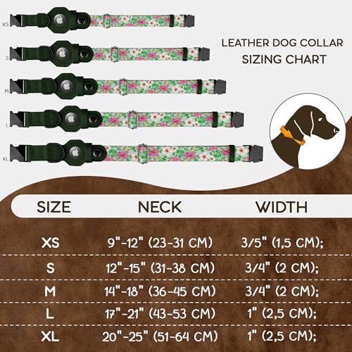 Collier chien avec support Apple AirTag et boucle métal robuste