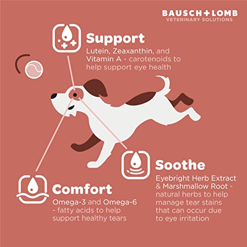 Project Watson Bausch + Lomb Dog Supplement, Contains Omega-3, Omega-6, Lutein, Zeaxanthin, and Vitamin A, Eyebright Herb Extract & Marshmallow Root to Help Reduce Eye Irritation, 60 Soft Chews Project Watson Bausch + Lomb Dog Supplement, Contains Omega-3, Omega-6, Lutein, Zeaxanthin, and Vitamin A, Eyebright Herb Extract & Marshmallow Root to Help Reduce Eye Irritation, 60 Soft Chews