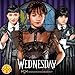 Rubies Wednesday TV Series: Wednesday Addams Costume Rave 'n Dance Dress for Adults, Women's Medium