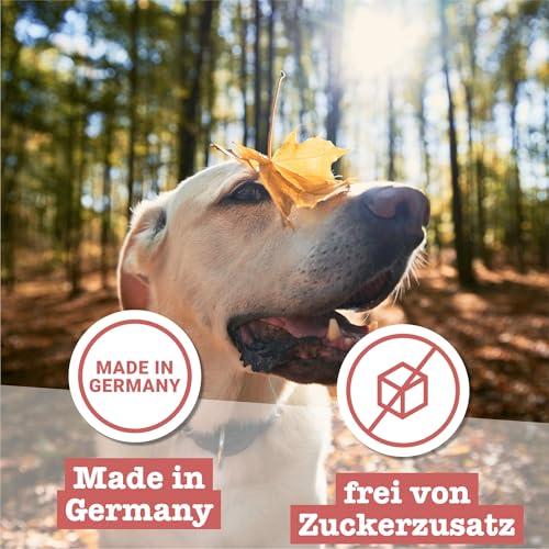 Chewies Hundeleckerli Training Maxi Rind Knöchelchen - 200 g - Hundesnacks zuckerfrei & mit hohem Fleischanteil - ideal als Trainings-Leckerli für Ihren Hund