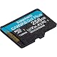 Kingston Canvas Go! Plus 256GB microSD Speicherkarte im Vergleich
