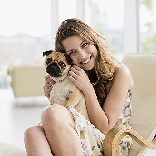 Dog Stroller Pet Stroller Cat Strollers Jogger Folding Travel Carrier Durable 4 Wheels Doggie Cage With Cup Holders 35Lbs Capacity Waterproof Puppy Strolling Cart For Small-Medium Dogs, Cats - Blue #TOP1