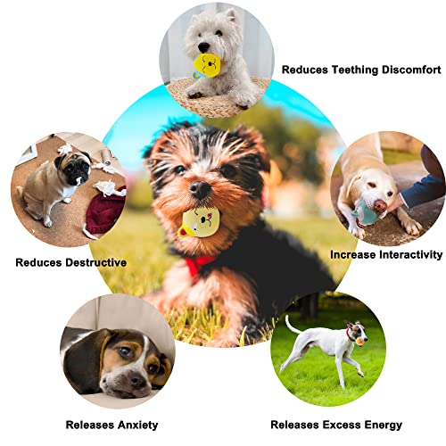 Llspet Latex Dog Chewing Squeaky Ball Toys Face Fetch Play Toy For Puppy Small Medium Pets Dog Cat 6Pcs/Set-Round Face Cat #TOP4