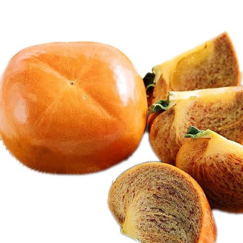 [先行予約]紀の川柿約3.5kg〜4kg[2026年11月上旬-11月中旬出荷予定]