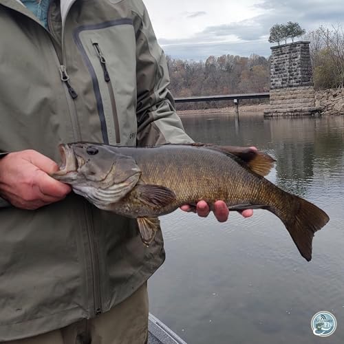 S6, Ep 139: Exploring East Tennessee's Changing Waters with Ellis Ward Podcast Por  arte de portada