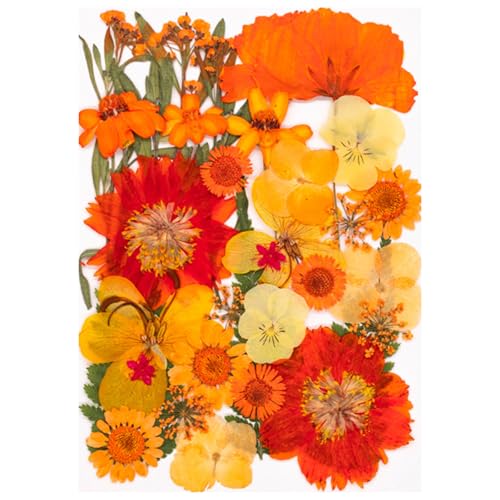 La mejor selección de Hojas secas - los preferidos. 42 GUUDDAY Juego de Hojas de Flores secas prensadas Naturales para Hacer Velas, Arte de Resina, marcadores, Manualidades, álbumes de Recortes, Kits de Flores y Hojas prensadas...