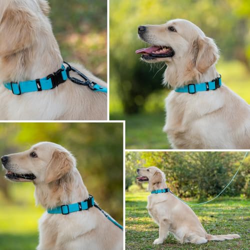 Image of Adil's Biothane Waterproof Dog Collar, Dog Leash & Collar Leash Combo | Heavy Duty TPU Coated Webbing | Adjustable Quick Release Buckle | Odour Resistant (Light Sky, L-22, Collar & Leash Combo)
