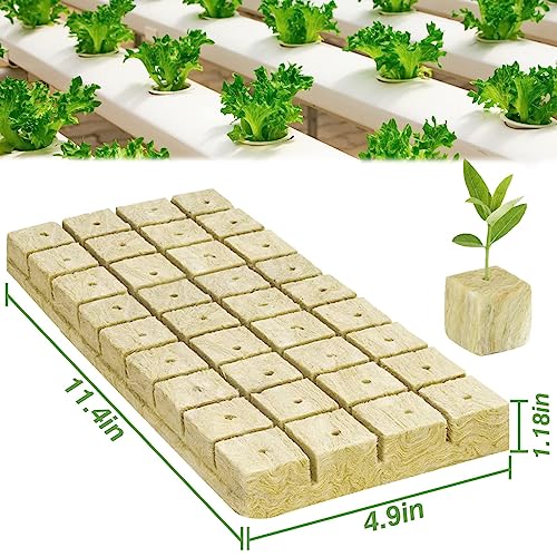 Halatool 1.2 inch Rockwool Cubes 4 Sheets Fluffy Porous Hydroponics Planting Cubes for Soilless Cultivation Seedlings Cuttings Clone Plants (144 Plugs Total)