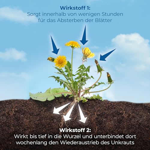PROTECT GARDEN Permaclean Duo Unkrautvernichter & Wurzel Ex, 500 ml – Ansicht 4