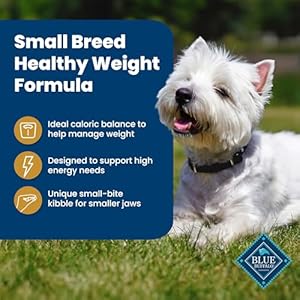 Blue Buffalo Life Safety Components Wholesome Weight Pure Small Breed Dry Canine Meals, Helps an Superb Weight, Made with Pure Components, Rooster & Brown Rice Recipe, 15-lb. Bag