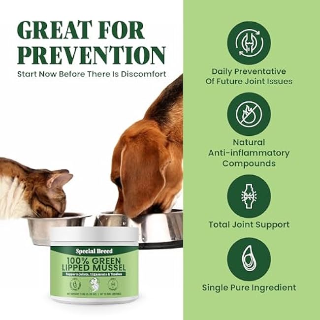 Green Lipped Mussel Powder for Dogs & Cats - 100% New Zealand Green Lipped Mussels - Natural Hip & Joint Supplement for Joints, Tendons, Ligaments, Muscles - 150 Grams - Up to 500 Servings-PAREOw8y