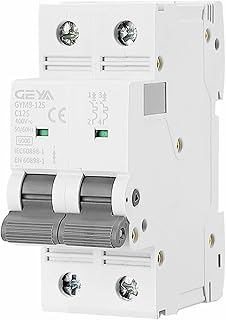 GYM9-125 2Pole Mini Circuit Breaker DP MCB Ture Cureent of 80A 100A 125A AC MCB Width 35.6mm 400V 6KA (Color : 100A, Size : 2 Pole C Curve)