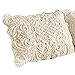 Collections Etc Elegant Faux Fur Pillow Sham