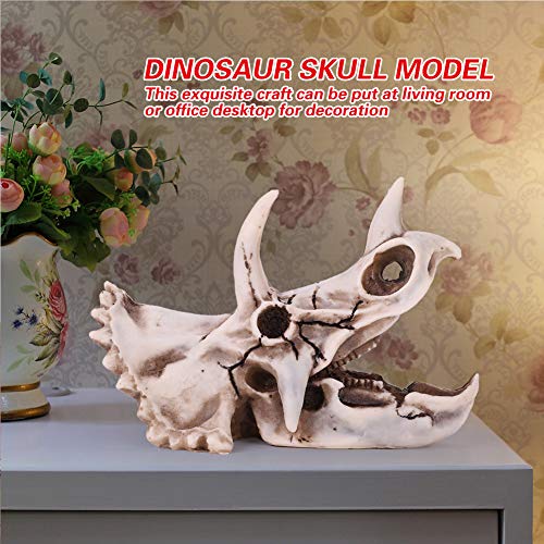Atyhao Harz Dinosaurier Triceratops Schädel Modell Simuliertes Skelett Home Office Display Dekorative Handwerk