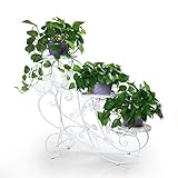 Esta plataforma para el jardín o en el hogar. Se encontrará su lugar tanto en el interior que en el exterior.
