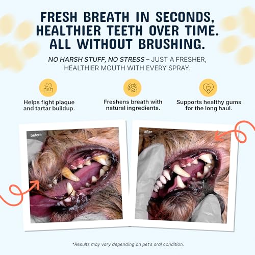 Pets are Kids Dog Dental Spray - 8oz Premium Dog Breath Spray & Dental Care - Natural Breath Freshener, Fights Tartar, Plaque & Gum Disease, Mouthwash for Dogs & Cats - Mint Formula Water Additive
