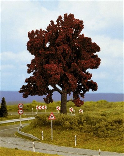 Preisvergleich Produktbild Noch 21730 - Rotbuche 13 cm