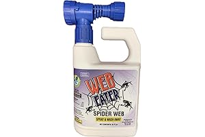 WebOut Spider Spray Concentrate for Fast Outdoor Spiders Control