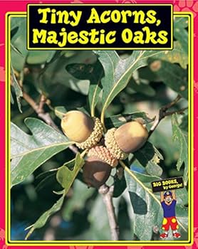 Staple Bound Big Books, by George! Tiny Acorns Majestic Oaks Book