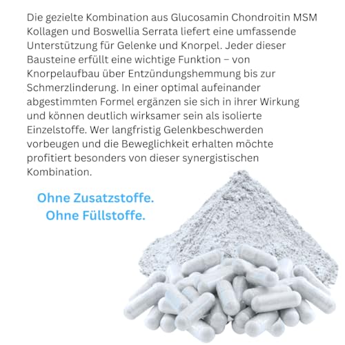 Knorpelaufbau KNORPEL & GELENKE Komplex 120 Kapseln - ArthroWell TOP-5 Gelenkbausteine Gelenkkapseln mit Glucosamin, Chondroitin, MSM, Kollagen, Weihrauch. OHNE ZUSATZSTOFFE 26444-120