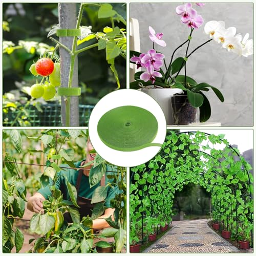 Miniatura 6 de Redamancy 15m Brida Para Plantas Cinta, 10mm Cinta Para Plantas Autoadhesiva, Reutilizables Amarre Antitorsión, Ara Viña, Tomates, Frutas, Flores, Arreglo De Cableado Doméstico Verde Hierba