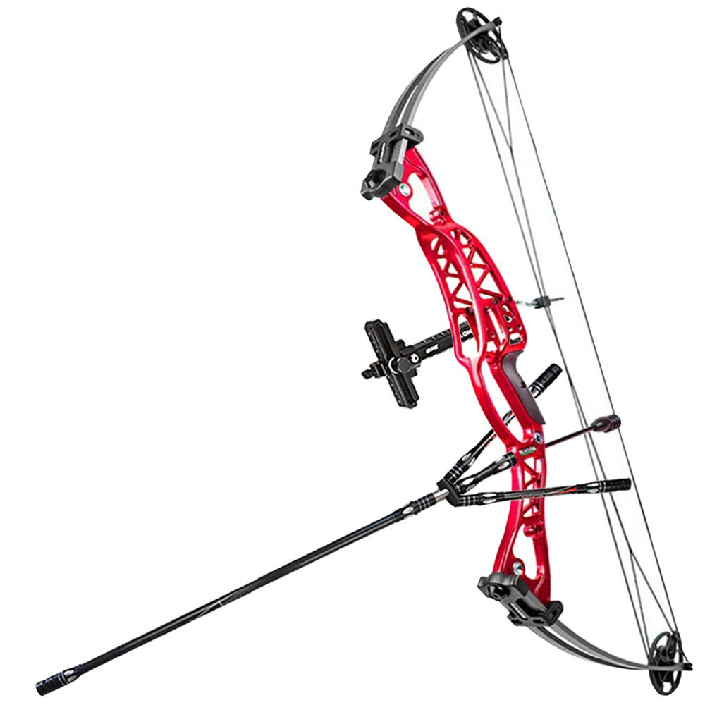 アーチェリーフルセット　全国ベスト8 アーチェリーフルセット全国ベスト8